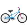Reid Explorer S 20″ Girls Coaster Edition Bike