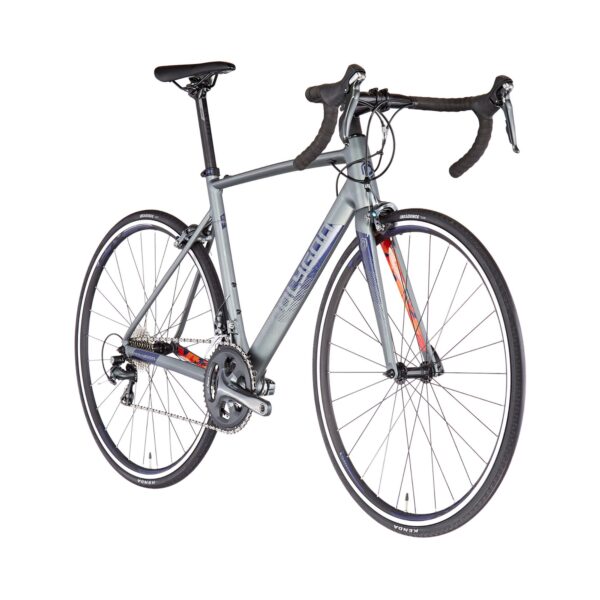 Polygon Strattos S4 Bike